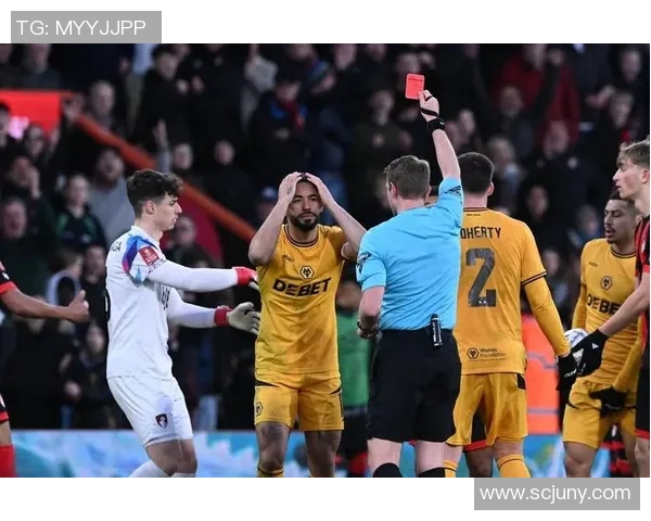 狼队与埃弗顿激战英超赛场精彩对决全解析